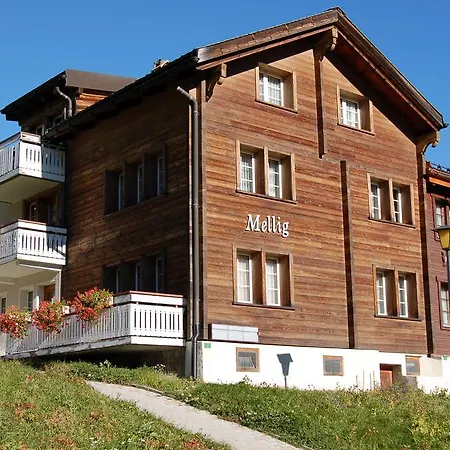 Mellig 아파트 Saas Fee